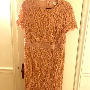 Blush Lace Eva Mendes Dress